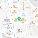 인천부평 요미독앤캣 강아지분양 고양이분양 이미지