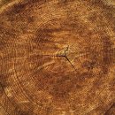 신용열쇠 이미지