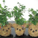 인창동작은도서관 이미지