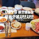 생용 누리길 | 시흥 곰솔누리숲 곰솔누리길 맨발 또는 걷기 좋은 힐링 산책로 6개의 다리 7개의 숲