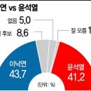 민주당 대선후보 경선 이낙연 대통령 후보 지지도 윤석열 앞서, 야당 대선주자 양자대결 이재명보다 경쟁력 높다 이미지