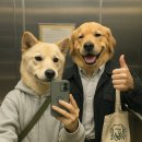 철봉공원(고덕약수터) | [2025년 4월] 6월에 쓰는 지난 4월 일상