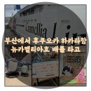 배타고 가볼까요. 뉴카멜리아호 예약하기, 여객운임, 업그레이드비용, 운항시간 등 실제 이용 후기