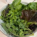 태리농장 이미지