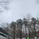 용인자연휴양림 이미지