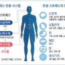 마음메디 이미지