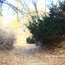 백암1천 이미지