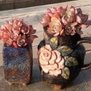 로즈화이트 이미지