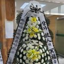 의료법인혜원의료재단혜원성모병원 이미지