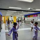 용인대 청당 태권도 이미지