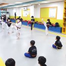 성산태권도 2관 이미지