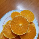 아리솔 태권도 이미지