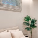 프리메오스 이미지