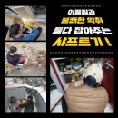 상록토탈