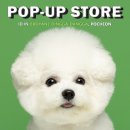 딩가댕가 이미지