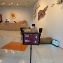 월드애견 이미지