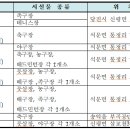 신평문화스포츠센터 족구장 이미지
