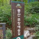 서울 봉산 편백나무숲길,,, 이미지