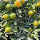 가온하우스 이미지