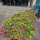 선명행정사사무소 이미지