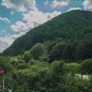 계곡에풍덩펜션캠핑장 이미지