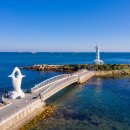 울산케미 이미지