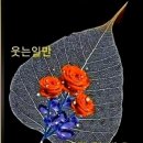 ★이미 볼 건 다 봤느니라. 이미지