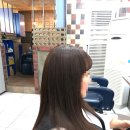 모도리헤어 이미지