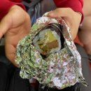 뽕꼬랑김밥 | 제주도 오면 꼭 먹어봐야 하는 오는정김밥, 해안도로 예쁜 카페 추천