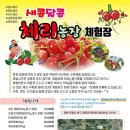 새콤달콤체리농장 이미지