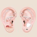 풍원게르마늄과함께하는세상 | 오예서 약사와 함께하는 뷰티 이어테라피 랜선 클래스 후기