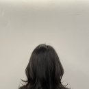 하이엘로이 네이버블로그