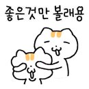 고양이묭실 이미지
