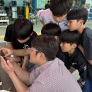 호랑이들 태권도장 이미지