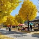 삼일여행