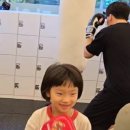 더 프리미엄 복싱 이미지