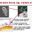 내 몸을 살리는 글리코 영양소 이미지