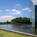 (주)파란제주 이미지