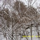 보흥사 - 1234 | 보흥사