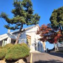 한성중학교 | 정독도서관 구내식당 소담정 메뉴 가격 백반 주말 일요일 이용시간 주차 부대찌개 후기