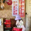 지아 농장 이미지