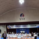 엘리트 합기도&태권도 | 경북도지사기 유도대회 후기