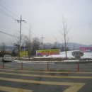 양평농협 강상주유소 이미지