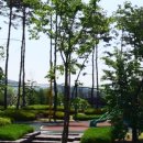 보산동 외국인관광특구 특화거리 이미지