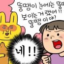 뚱땡이족발 이미지