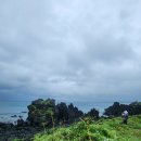 종달리수국길 이미지