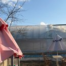 김포 자연 농장 이미지