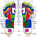 지압 - 발지압점 그림 이미지