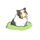 당근<b>마켓</b>에서 <b>반려</b>동물 그려주는 사람.jpg