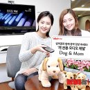 맘앤도그 이미지